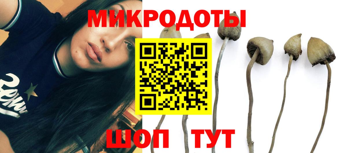 Азов  Псилоцибиновые грибы Magic Shrooms  Вход с VPN 